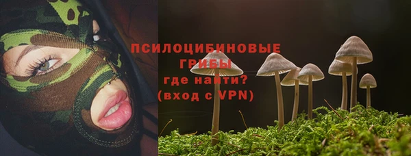 прущий лед Вязьма