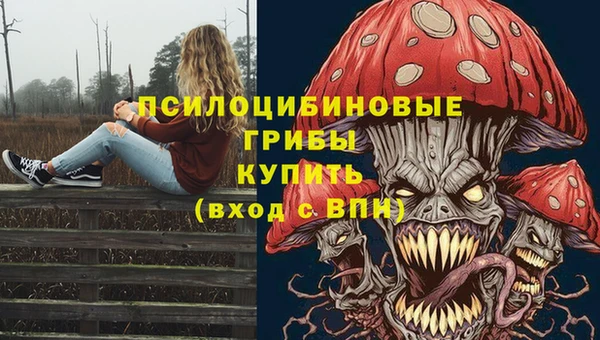прущий лед Вязьма